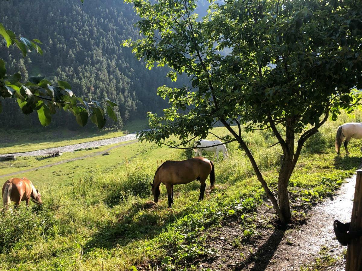 Pirikiti Hotel Akhmeta Buitenkant foto